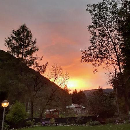 Soggiorno Vacanze Stella Alpina Temù Zewnętrze zdjęcie