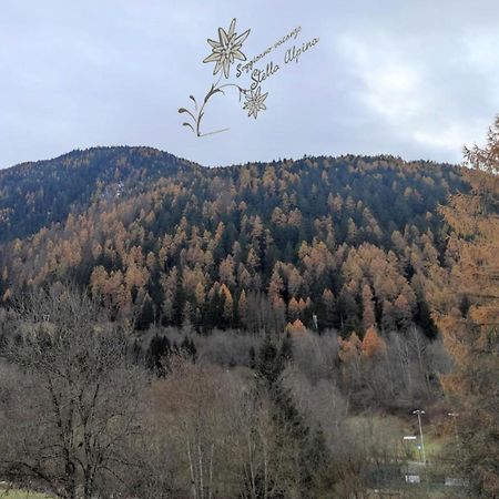 Soggiorno Vacanze Stella Alpina Temù Zewnętrze zdjęcie