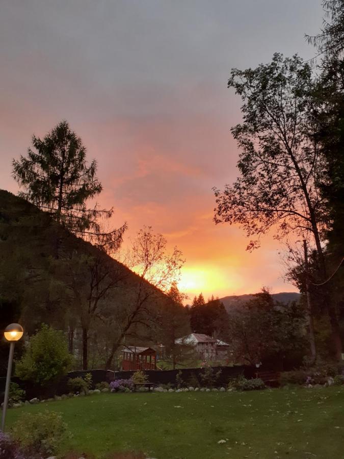 Soggiorno Vacanze Stella Alpina Temù Zewnętrze zdjęcie
