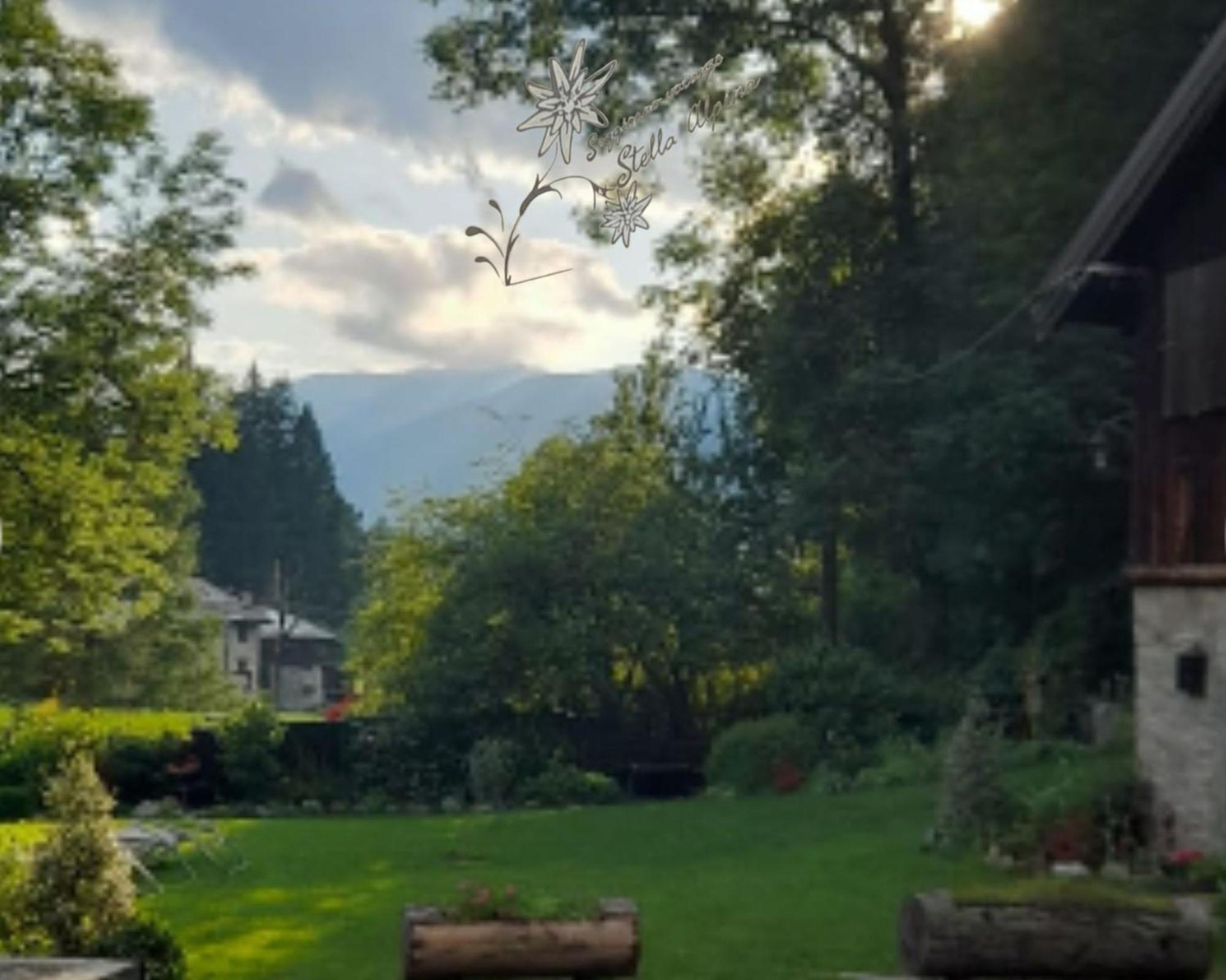 Soggiorno Vacanze Stella Alpina Temù Pokój zdjęcie