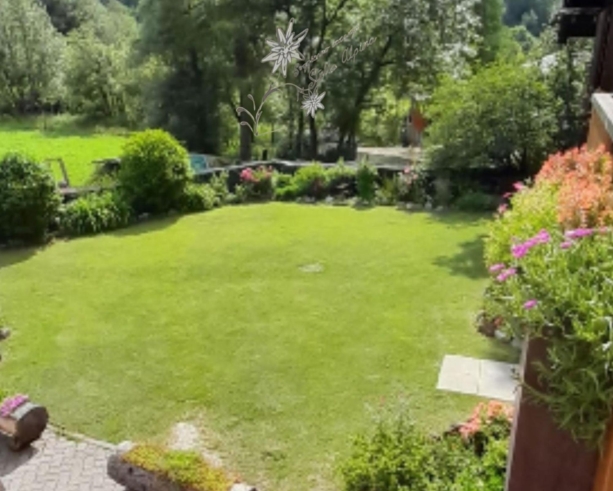 Soggiorno Vacanze Stella Alpina Temù Pokój zdjęcie