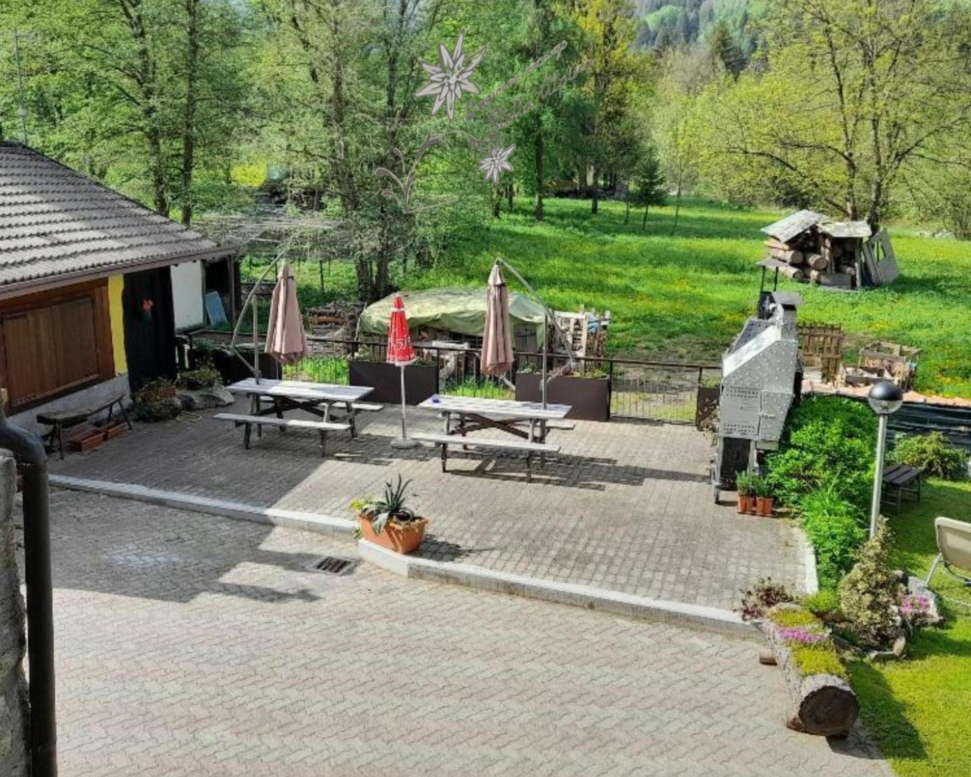 Soggiorno Vacanze Stella Alpina Temù Zewnętrze zdjęcie