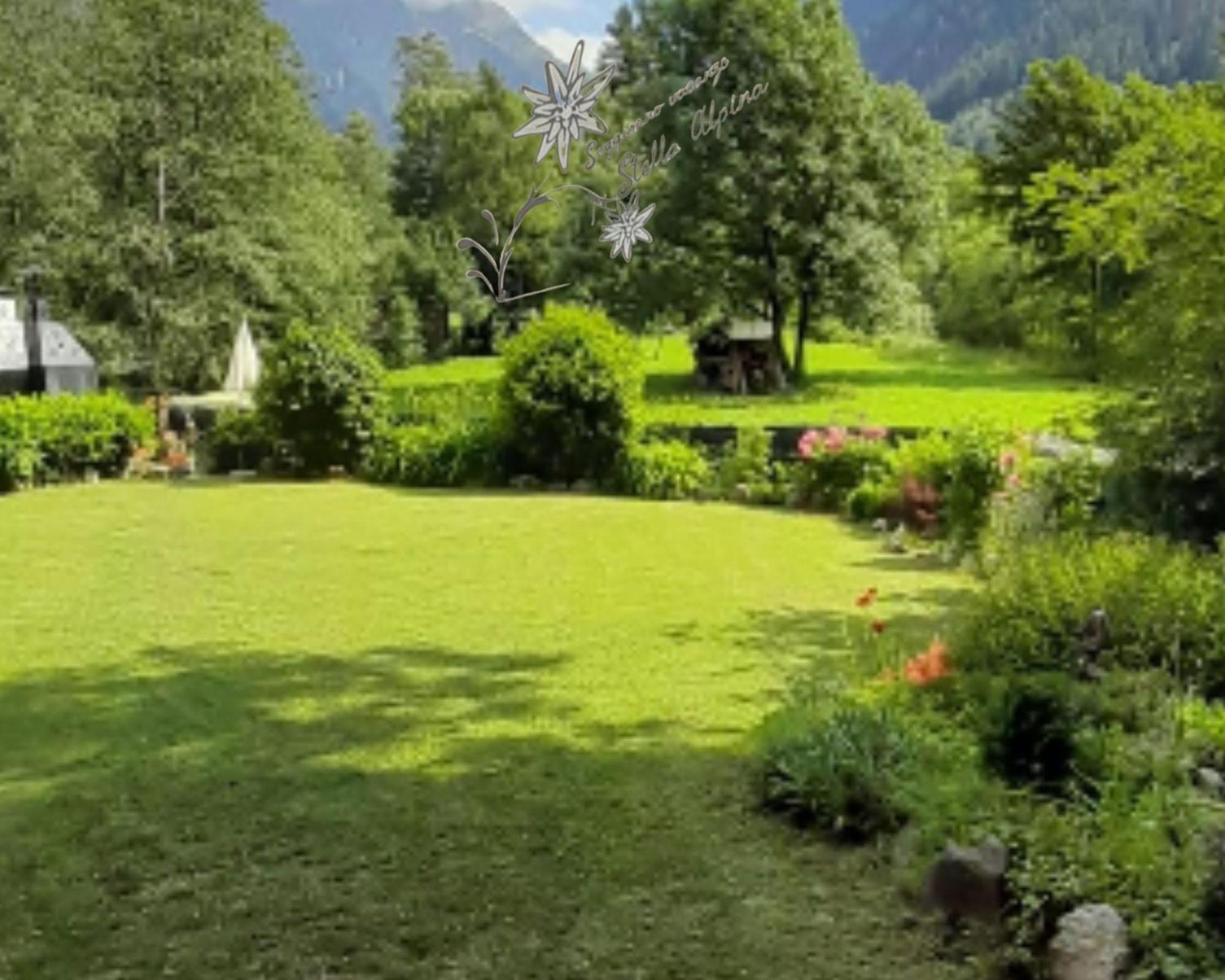 Soggiorno Vacanze Stella Alpina Temù Zewnętrze zdjęcie