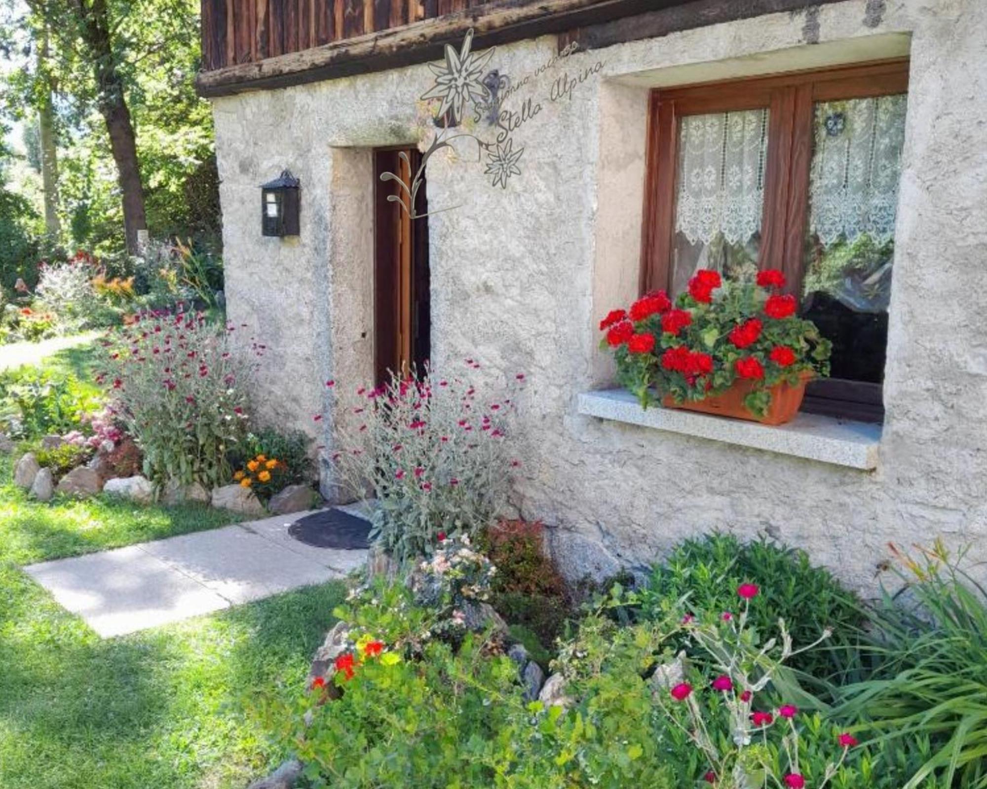 Soggiorno Vacanze Stella Alpina Temù Zewnętrze zdjęcie